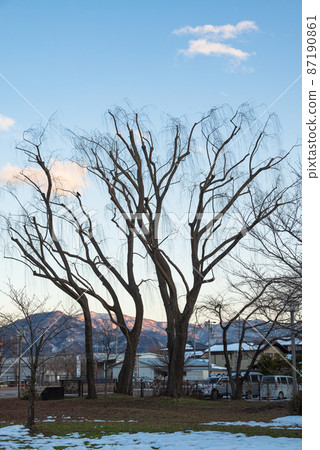 三本柳，三本柳的象徵，長野市青木島町 87190861