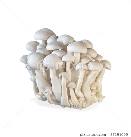 Enoki mushroom isolated on white background. 87191009