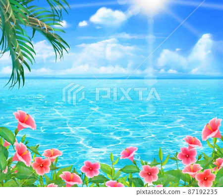 夏季時尚的框架背景材料與棕櫚樹和芙蓉沿著美麗的大海在陽光普照的藍天下綻放 87192235