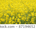 一邊的油菜田 87194652