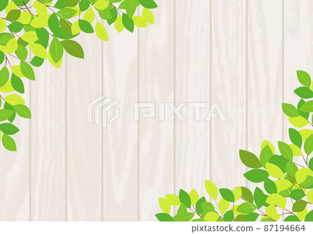 垂直白木板上葉角的新鮮綠色背景 87194664