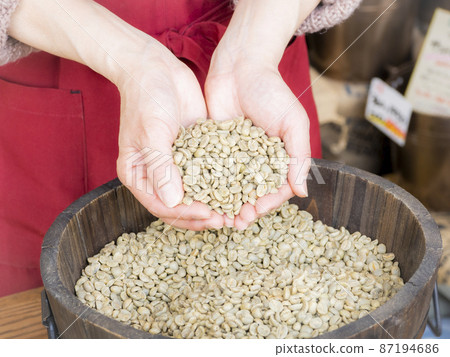 Hands of a female roaster who scoops green coffee beans at a coffee roaster 2 87194686