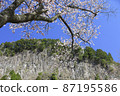 Cherry blossoms at Byobuiwa Sheer Park, Soni Village, Nara Prefecture 87195586