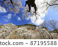 Cherry blossoms at Byobuiwa Sheer Park, Soni Village, Nara Prefecture 87195588