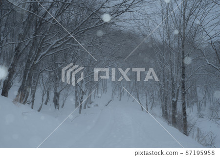 Snow scene in the forest 87195958