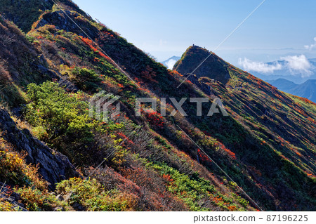 Tanigawadake / Autumn leaves slope and Tomanomimi Tanigawadake / Autumn leaves slope and Tomanomimi 87196225