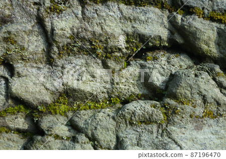 Rock moss and lichen Rock moss and lichen 87196470