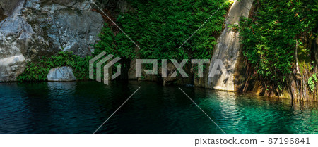 tropical vegetation on rocks in a canyon near clear blue water 87196841