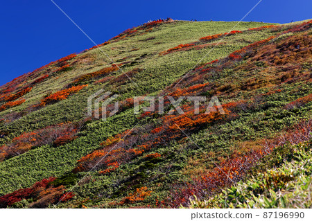 The slopes of autumn leaves and Mt. Tanigawa / Tomanomimi The slopes of autumn leaves and Mt. Tanigawa / Tomanomimi 87196990