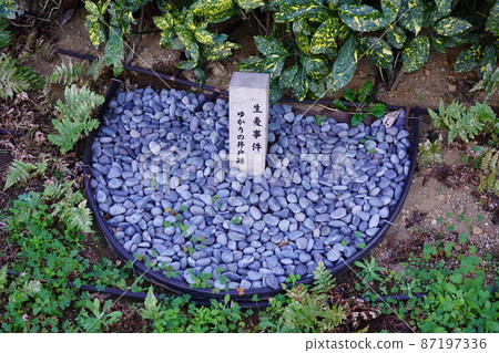 生麥事件相關井的遺跡 87197336