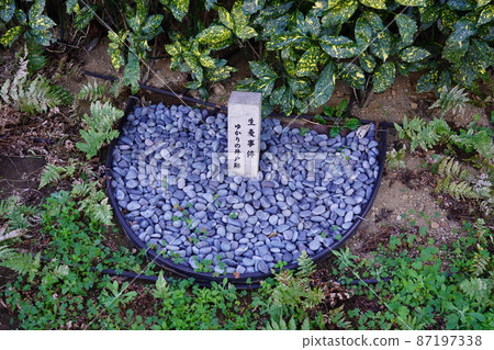 生麥事件相關井的遺跡 87197338