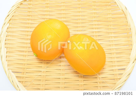 Hachijo Fruit Lemon Hachijo Fruit Lemon 87198101
