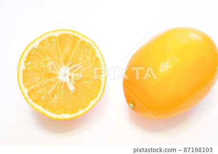 Hachijo Fruit Lemon Hachijo Fruit Lemon 87198103