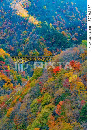 [8K] Chichibu Autumn Leaves [Landscape] 87198121