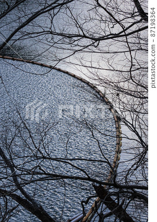 十二月的奧多摩湖 87198364