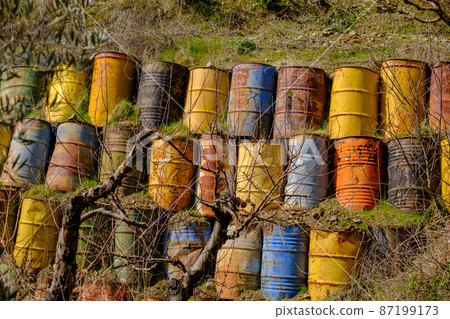 Colorful stacked barrels behind deciduous apple trees with fallen leaves and fallen yellow apples in a field 87199173