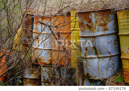 Colorful stacked barrels behind deciduous apple trees with fallen leaves and fallen yellow apples in a field Colorful stacked barrels behind deciduous apple trees with fallen leaves and fallen yellow apples in a field 87199176