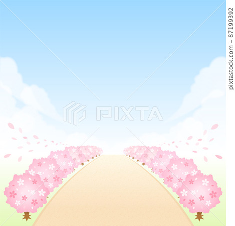 櫻花樹一排排向遠方延伸 入學典禮和畢業典禮 87199392