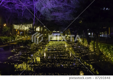 西川綠道公園燈飾 西川燈飾 岡山縣岡山市 87201648