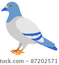 A pigeon facing sideways 87202571