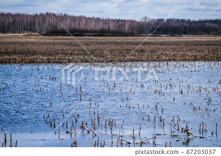 Flooded crop field. Agriculture ground after rain under water. Flooded agriculture fields in a spring. Selective focus Flooded crop field. Agriculture ground after rain under water. Flooded agriculture fields in a spring. Selective focus 87203037