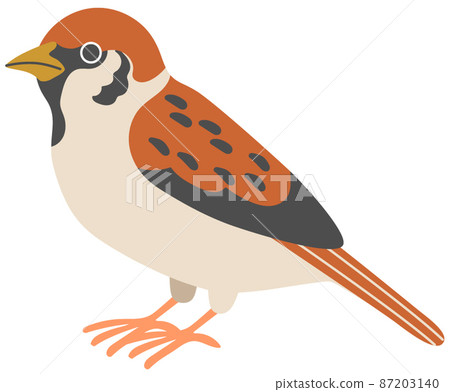 A sparrow facing sideways A sparrow facing sideways 87203140