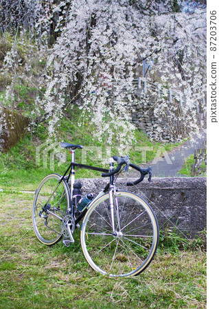 Weeping cherry tree and black road bike 87203706