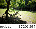 Lawn park and road bike 87203865