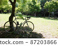 Lawn park and road bike 87203866