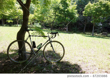 Lawn park and road bike Lawn park and road bike 87203866