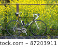 Rape blossoms and black road bike 87203911