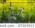 Rape blossoms and black road bike 87203912