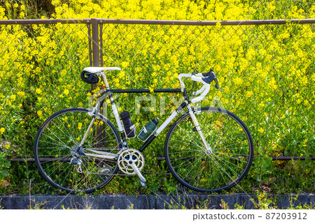 Rape blossoms and black road bike Rape blossoms and black road bike 87203912