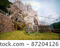 Weeping cherry tree, suspension bridge and road bike 87204126