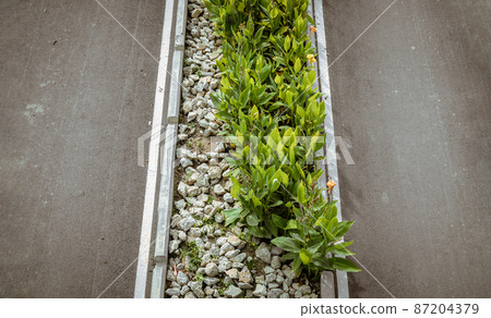 Ornamental green trees or bush plants blooming and stone pile over median strip and Empty road. 87204379