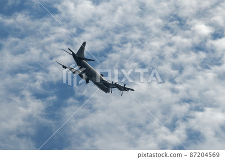 海上自衛隊觀察型 P-3C 海上自衛隊觀察型 P-3C 87204569