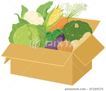 什錦蔬菜紙板 87204575