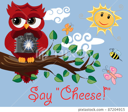 Red Owl-photographer in glasses sits on a tree branch on a clear sunny day and makes a report, photos. Inscription Say cheese 87204915