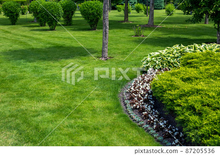 garden bed in park with various plants with flowers and deciduous and evergreen bush in flower bed near green lawn with trees landscape on sunny summer day with copy space, nobody. 87205536