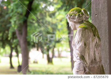 Old cemetery in the center of Bratislava. 87205670