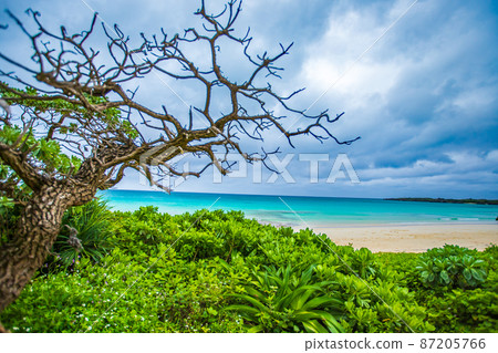 Miyakojima Wataguchi beach scenery Miyakojima Wataguchi beach scenery 87205766