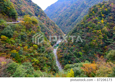 V-shaped valley in Iya Valley, Tokushima Prefecture, autumn leaves V-shaped valley in Iya Valley, Tokushima Prefecture, autumn leaves 87206173