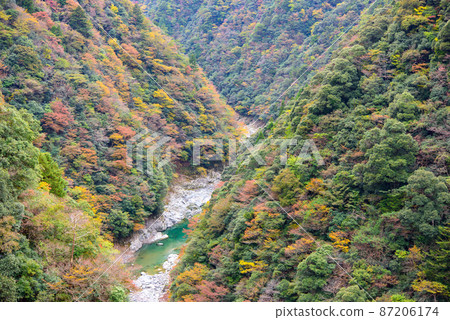 V-shaped valley in Iya Valley, Tokushima Prefecture, autumn leaves 87206174