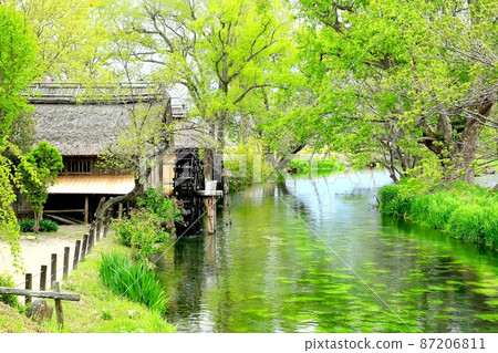 Daio Wasabi Farm's water mill Daio Wasabi Farm's water mill 87206811