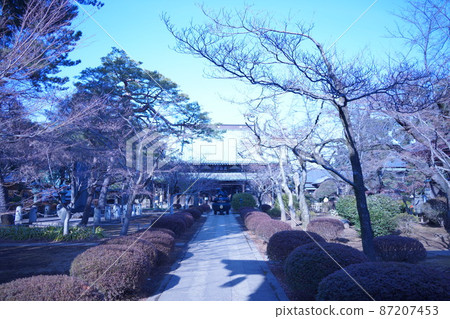 Gotokuji, the birthplace of the beckoning cat, is a temple of the Soto sect that was the main part of Setagaya Castle. 87207453