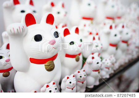 Gotokuji, a temple of the Soto sect that was the main part of Setagaya Castle and the birthplace of beckoning cats, countless white beckoning cats 87207485
