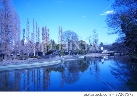 Inokashira Park in Tokyo, Musashino City, Mitaka City, where Inokashira Benzaiten stands after the copper plate replacement work has been completed. 87207572