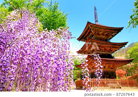 Zensanji Temple Triple Pagoda and Wisteria Flowers 87207643