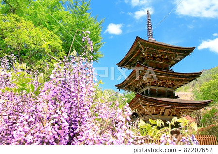 善山寺三寶塔和紫藤花 87207652