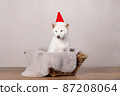 white Cristmas shiba inu dog white Cristmas shiba inu dog 87208064
